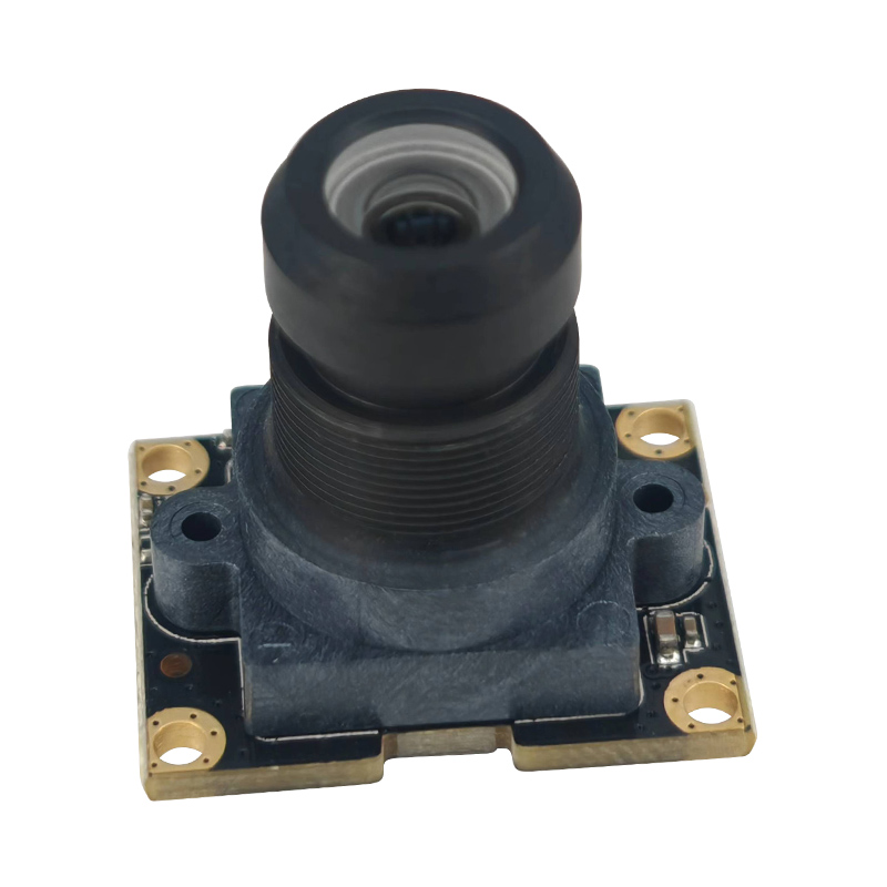 L'introduzione del ruolo e dell'uso delle telecamere sportive